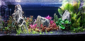 Набор камней из деревянного сланца 5 кг для аквариума