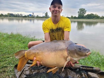 SZPROTKA/HALIBUT 0.5 kg Kulki Proteinowe RaFish 16 - 20 mm 500g zanętowe
