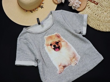 H&M SZARA BLUZA SZPIC POMERANIAN XS