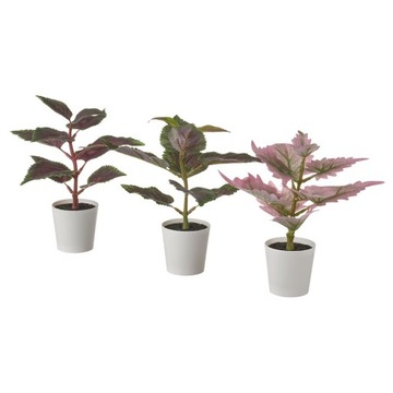 IKEA FEJKA Sztuczne KWIAT 3szt KOLEUS SOLENOSTEMON
