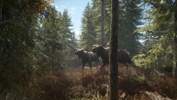 ОХОТНИК ЗОВ ДИКОГО МАСТЕРА HUNTER XBOX
