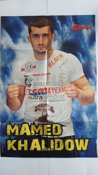 PANINI ФУТБОЛ/КОЛЛЕКЦИОННЫЙ АЛЬБОМ ЛИГА ЧЕМПИОНОВ УЕФА 2012-2013