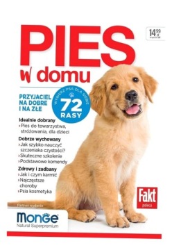 PIES W DOMU PRACA ZBIOROWA
