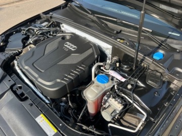 Audi A4 B9 Avant 2.0 TDI 190KM 2015 Audi A4 Avant S-Line 190 Koni Automat Nawigacja Alcantara Parktronic Felgi, zdjęcie 28