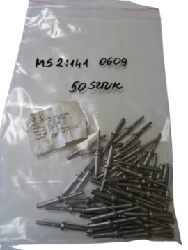 NIT NITY ŚRUBA ŚRUBY BLIND BOLT MS21141-0609