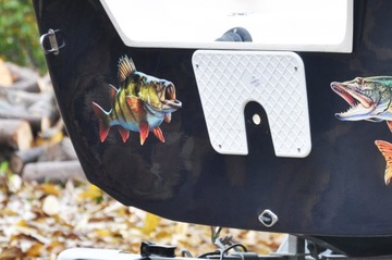NAKLEJKA SANDACZ RYBY NA ŁÓDKĘ AUTO 30 cm + GRATIS