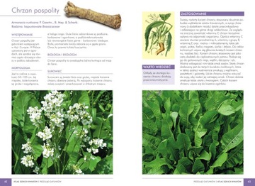 АТЛАС ДИКИХ ЦВЕТОВ 90 растений Mederska TWARDA