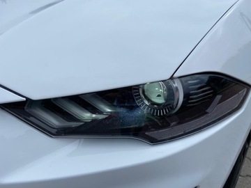 Ford Mustang VI Fastback Facelifting 5.0 Ti-VCT 450KM 2018 Ford Mustang Ford Mustang 5.0 V8 GT Salon Polska Automat 5.0 Benzyna, zdjęcie 17