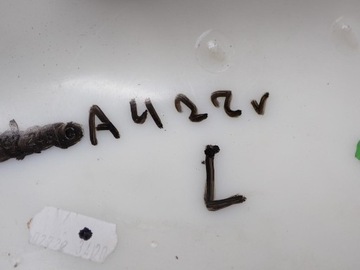 PLASTIK OSŁONA SŁUPKA LEWY TYŁ 8W9867245G AUDI A4 B9 KOMBI 22R