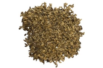 OSTROPEST PLAMISTY leczniczy 1kg