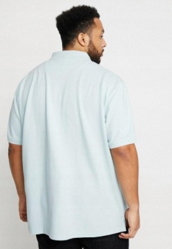 ФУТБОЛКА МУЖСКАЯ LELY&SCOTT 4XL