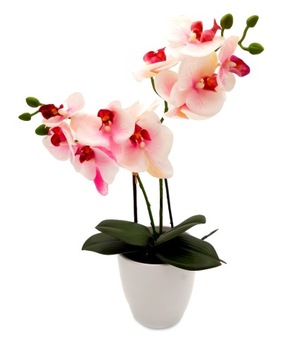 STORCZYK SZTUCZNY silikonowy w doniczce ORCHIDEA