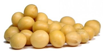 SOJA ZIARNO 500g NATURALNA BEZ GMO