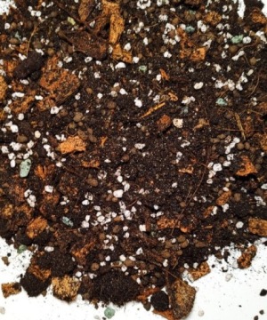 Podłoże do roślin typu Hoya, Dischidia