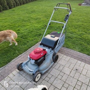 Kosiarka spalinowa HONDA HRB 536C napęd + kosz