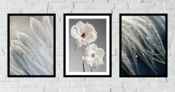 50x40 КАРТИНЫ РАМКА ПОСКАТЫ ЦВЕТЫ ПЕРЬЯ БОХО ГОСТИНАЯ