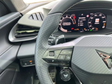 Cupra Terramar SUV 2.0 TSI 265KM 2026 Cupra Terramar VZ Tribe Edition 2.0 TSI 265 KM DSG, zdjęcie 13