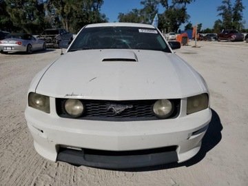 Ford Mustang V 2008 Ford Mustang GT 2008 4.6L 4.6 Benzyna 300KM, zdjęcie 5