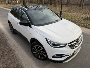 Opel 2019 Opel Grandland X 2.0 CDTI 177 KM Max Opcja Ful Led, zdjęcie 13