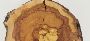 Ломтик яблока 40x40 см, дерево для стола из смолы