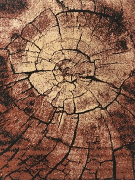BRĄZOWY DYWAN PIEŃ 200x300 - NOWA KOLEKCJA !!!