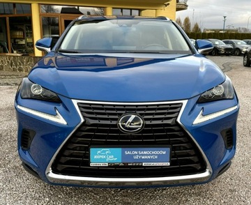 Lexus NX I 2020 Lexus NX 300h,Hybryda,4x4,Europa, zdjęcie 1