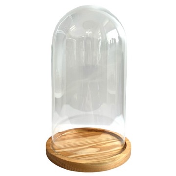 Kopuła szklana H30cm klosz na drewnie plaster klosz pokrywa ze szkła deska
