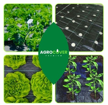 AGROTKANINA Z OTWORAMI POD SAŁATĘ OGÓRKI CEBULE CZOSNEK ITP 1,10 X 10m Z UV