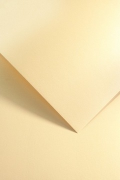 Papier Karton ozdobny ICELAND ŁOSOŚ A4 220g 20ar