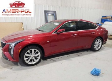 Cadillac 2025 Cadillac CT5 Premium Luxury 2025 2.0l 2.0 Benzyna 237KM