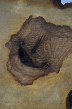 Большой выбор ломтиков каштана 42x40Gr4cm Поднос