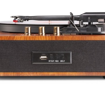 Проигрыватель проигрывателя Fenton RP162D (P)