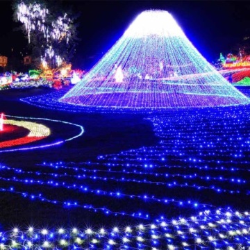 СВЕТОДИОДНЫЕ РОЖДЕСТВЕНСКИЕ ОГНИ НАРУЖНЫЕ РОЖДЕСТВЕНСКИЕ ОГНИ ДЛЯ ДОМА 200 LED СИНИЕ