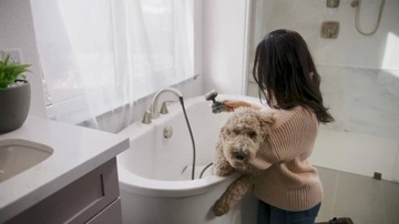 Мыло для собак Oxygenics PawSpa с дозатором шампуня