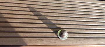 Заглушка, винтовая крышка, M8/13, 100 ШТ, КОРИЧНЕВЫЙ