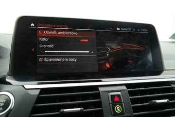 BMW X3 G01 SUV 2.0 20i 184KM 2020 BMW X3 BMW X3 xDrive20i M Sport Kamera 360 Adaptiv, zdjęcie 29