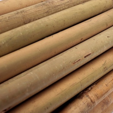 БАМБУКОВЫЕ СТОЙКИ 240 см - 24/26 мм - 25 шт. ПОДДЕРЖКИ ДЛЯ РАСТЕНИЙ / БАМБУК