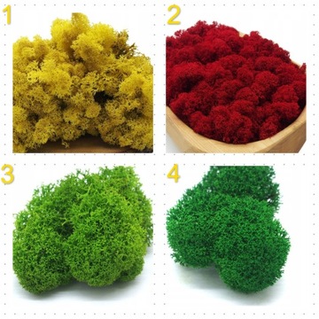 Сердце из мха, день матери, день отца, хроботек из мха, глубокая рамка, 25х25, рамка из березы