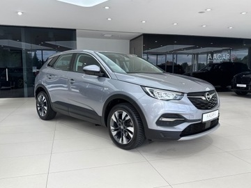 Opel 2020 Opel Grandland X Elite / 1 właściciel / Salon Pols, zdjęcie 4