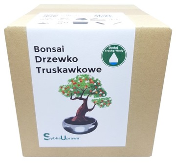 Prezent Bożonarodzeniowy Drzewko Truskawkowe ps