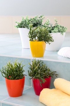 DONICZKA Z PODSTAWKĄ PLASTIKOWA OSŁONKA DONICA 12cm ŻÓŁTA NA KWIATY KADAX