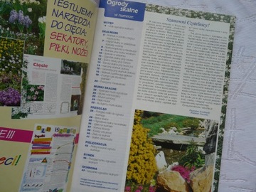 ВЫДЕЛИТЕ ВЛАДЕЛЬЦУ 200 СТРАНИЦ СПЕЦИАЛЬНЫЙ ВЫПУСК