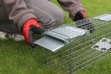 ЛОВУШКА ДЛЯ МУЖЧИН ЛОВУШКИ НОРКИ КРЫСЫ клетка-ловушка C14 ЗАЩЕЛКА