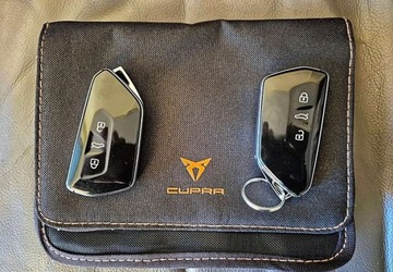 Cupra Formentor Crossover 1.5 TSI 150KM 2022 Cupra Formentor 1.5 TSI 150KM DSG Navi 6xPDC Skora Full led kamera Orygina, zdjęcie 38