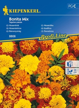 Kiepenkerl nasiona Aksamitka Bonita