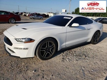 Ford Mustang VI 2019 Ford Mustang 2019, 2.3L, po gradobiciu