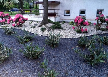 Grys Czarny Kamień Bazalt Ozdobny do Ogrodu 500kg