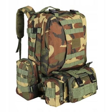 Plecak turystyczny RICH CJC 41-60 l odcienie
