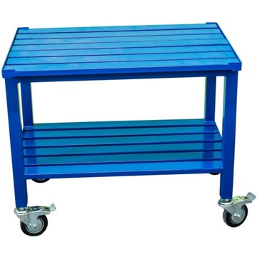 Мойка двигателя и шасси для автосервиса RUSZMOBIL 1200 2в1