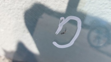 CITROEN C4 II B7 ПЕРЕДНЕЕ ВЕТРОВОЕ СТЕКЛО оригинал